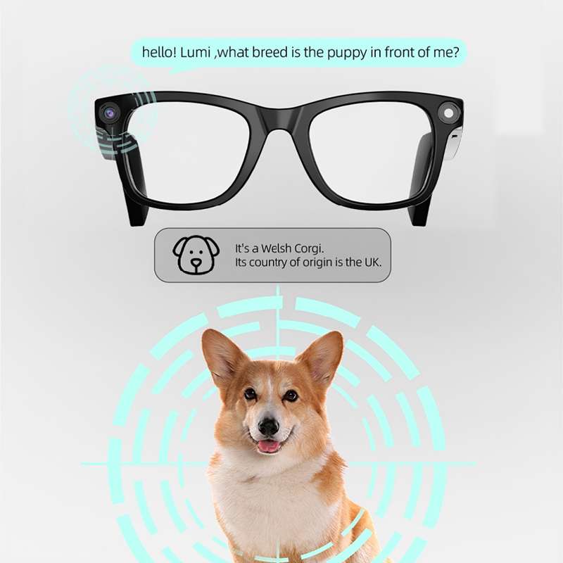 최신 고성능 스마트 안경: 블루라이트 차단, 방향성 오 - Blue Light Blocking Smart Audio Glasses 리뷰 및 가격